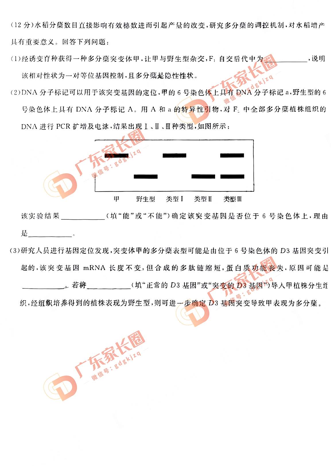 2024届广州高三阶段训练生物试卷题目和题目和答案解析（真题图片电子版本)