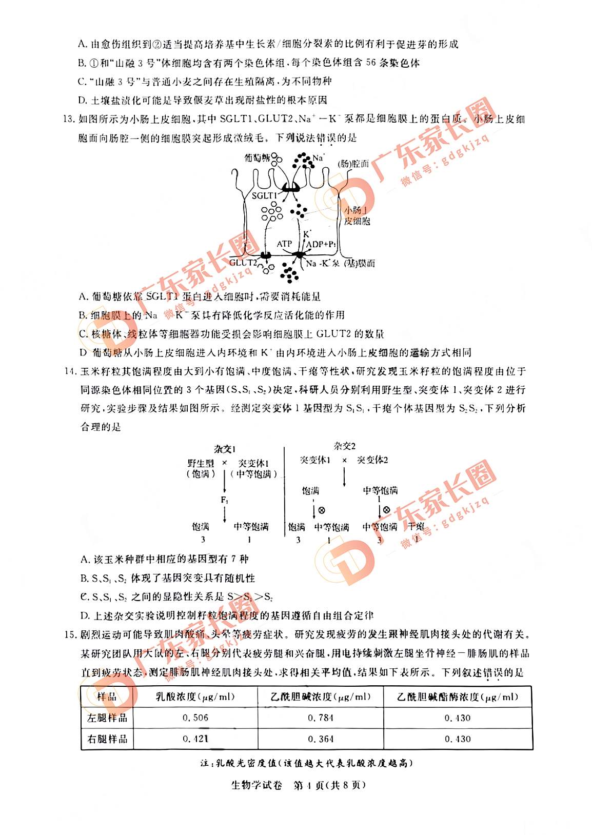 2024届广州高三阶段训练生物试卷题目和题目和答案解析（真题图片电子版本)