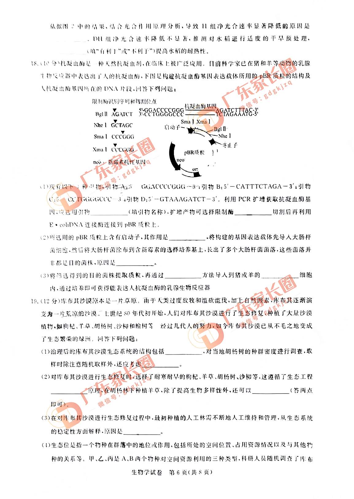 2024届广州高三阶段训练生物试卷题目和题目和答案解析（真题图片电子版本)